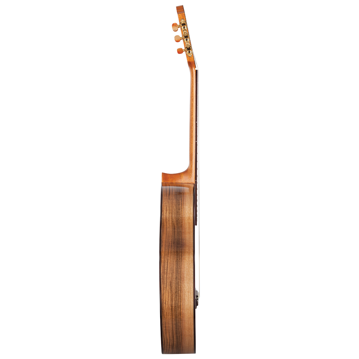 Kremona Rondo RS All Solid Spruce / Walnut Classic Guitar with Case