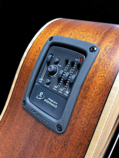 Tanglewood 20th Anniversary Re-Issue 2025 Limited Edition Dreadnought C/E [T25-DCE]