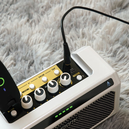 Aroma TG-08A 10W Acoustic Guitar Amp With Drum Machine