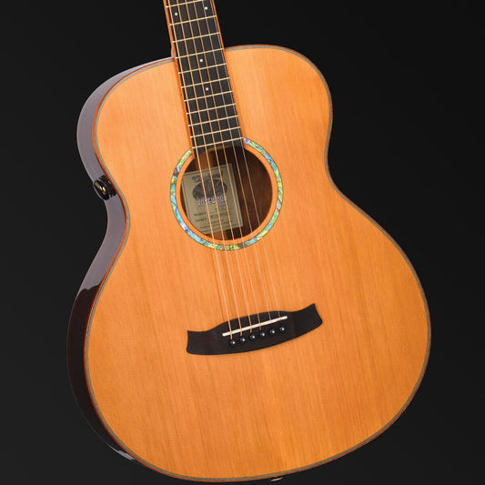 Tanglewood Rosewood Smart Mini Folk Acoustic/Electric Guitar with Enya Preamp System [TRS1-E]