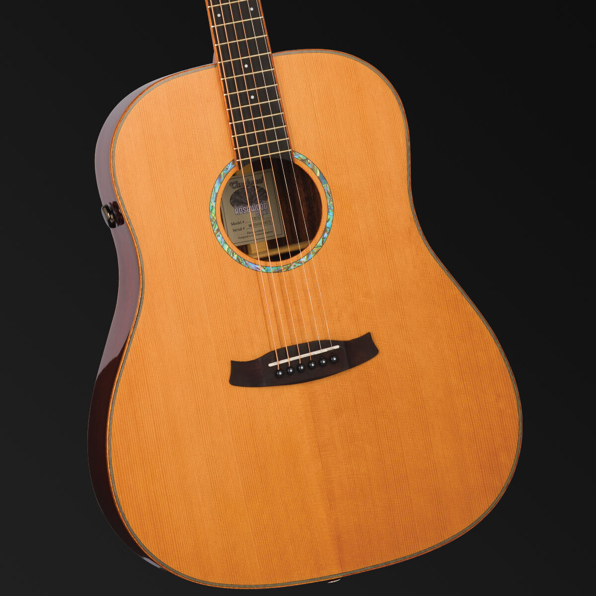 Tanglewood Rosewood Smart Sloped Shoulder Dreadnought Acoustic/Electric Guitar with Enya Preamp System [TRS5-SE]