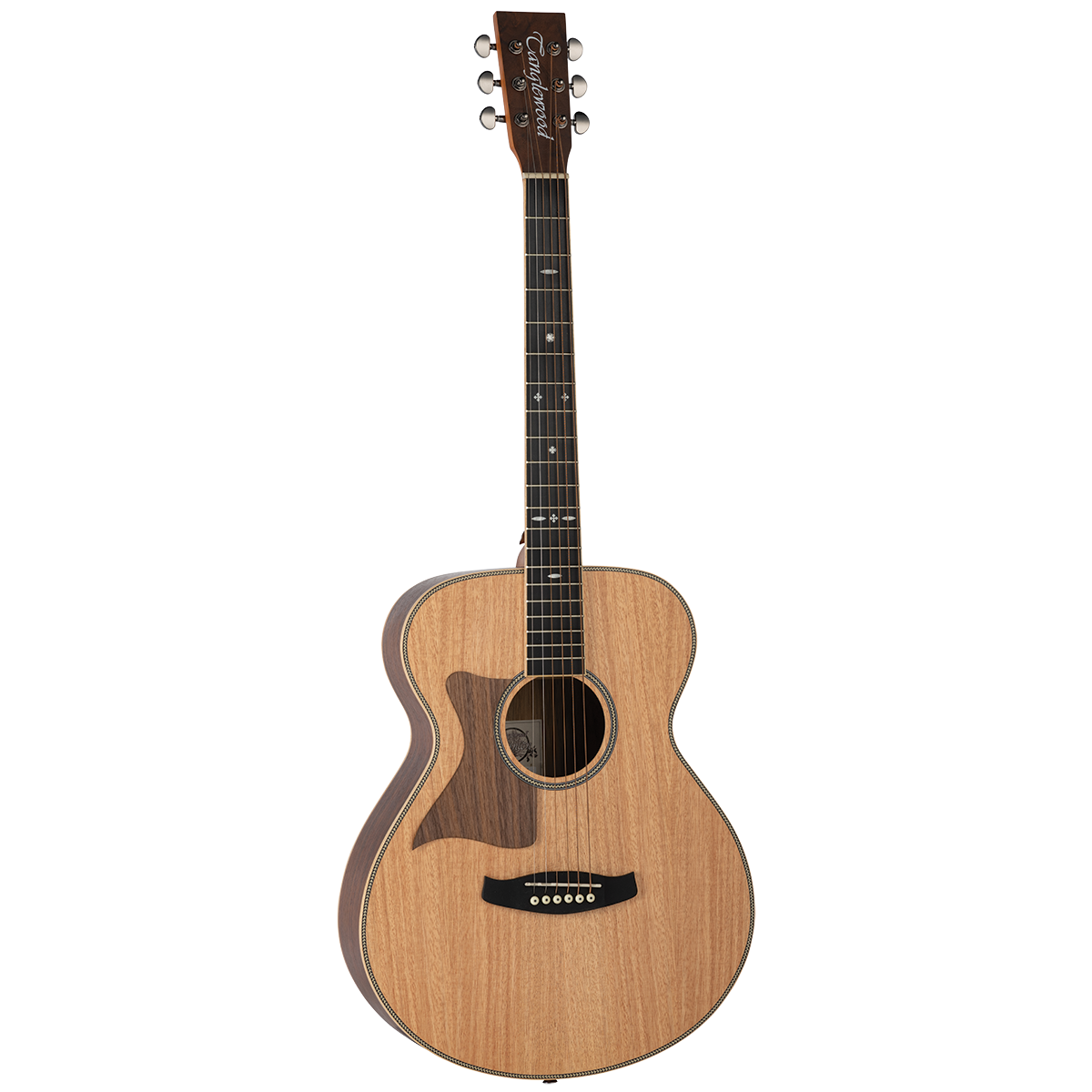 Tanglewood TRU3-HR-LH / TRPRO-F-HR-LH Reunion Pro Solid Australian Red Cedar Top Folk with Hawaiian Rain Wood B/S Left Handed