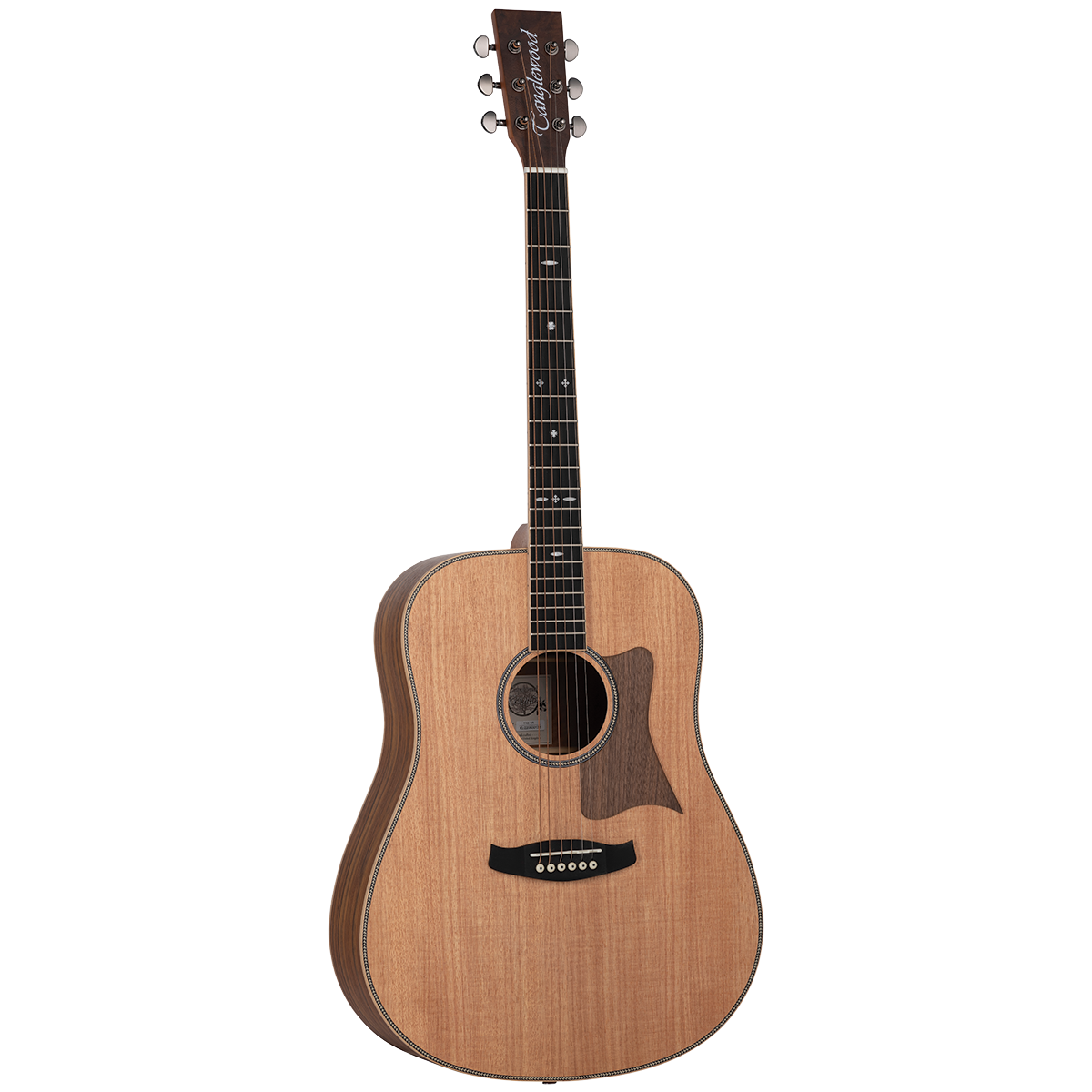 Tanglewood TRU5-HR / TRPRO-D-HR Reunion Pro Solid Australian Red Cedar Top Dreadnought with Hawaiian Rain Wood B/S