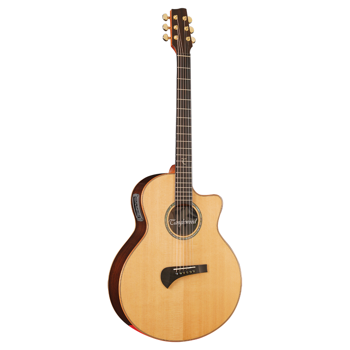 Tanglewood TSR2C MasterDesign all solid C/E with ABS Case