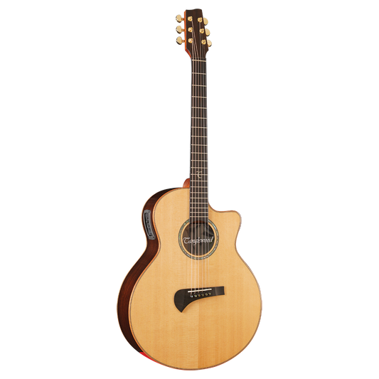 Tanglewood TSR2C MasterDesign all solid C/E with ABS Case