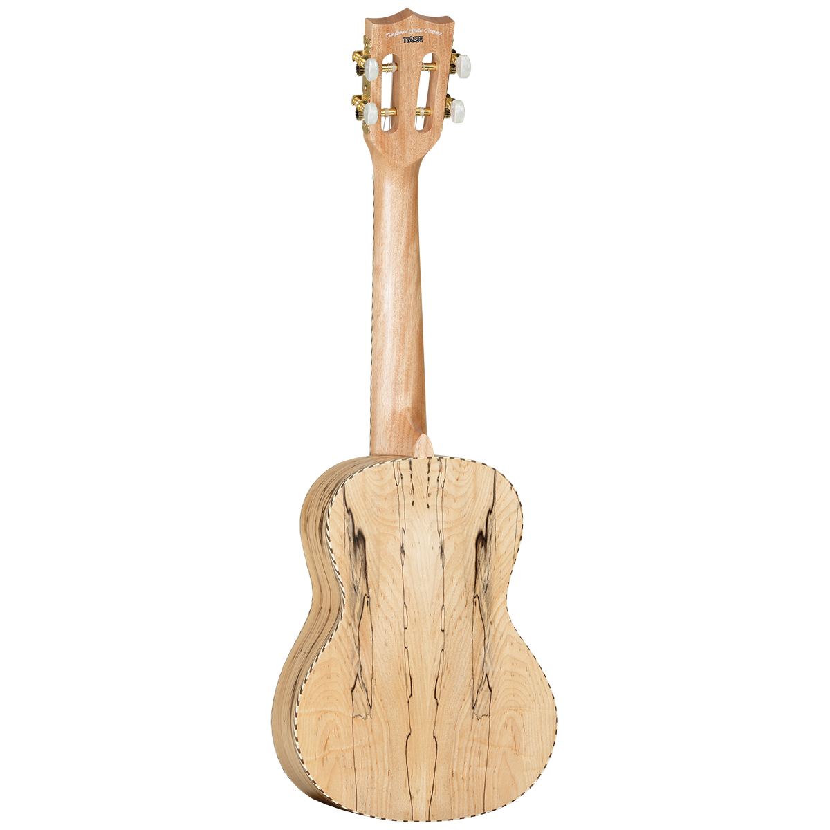 Tanglewood TWT11B Tiare Concert Uklulele Cedar/Spalted Maple with Bag