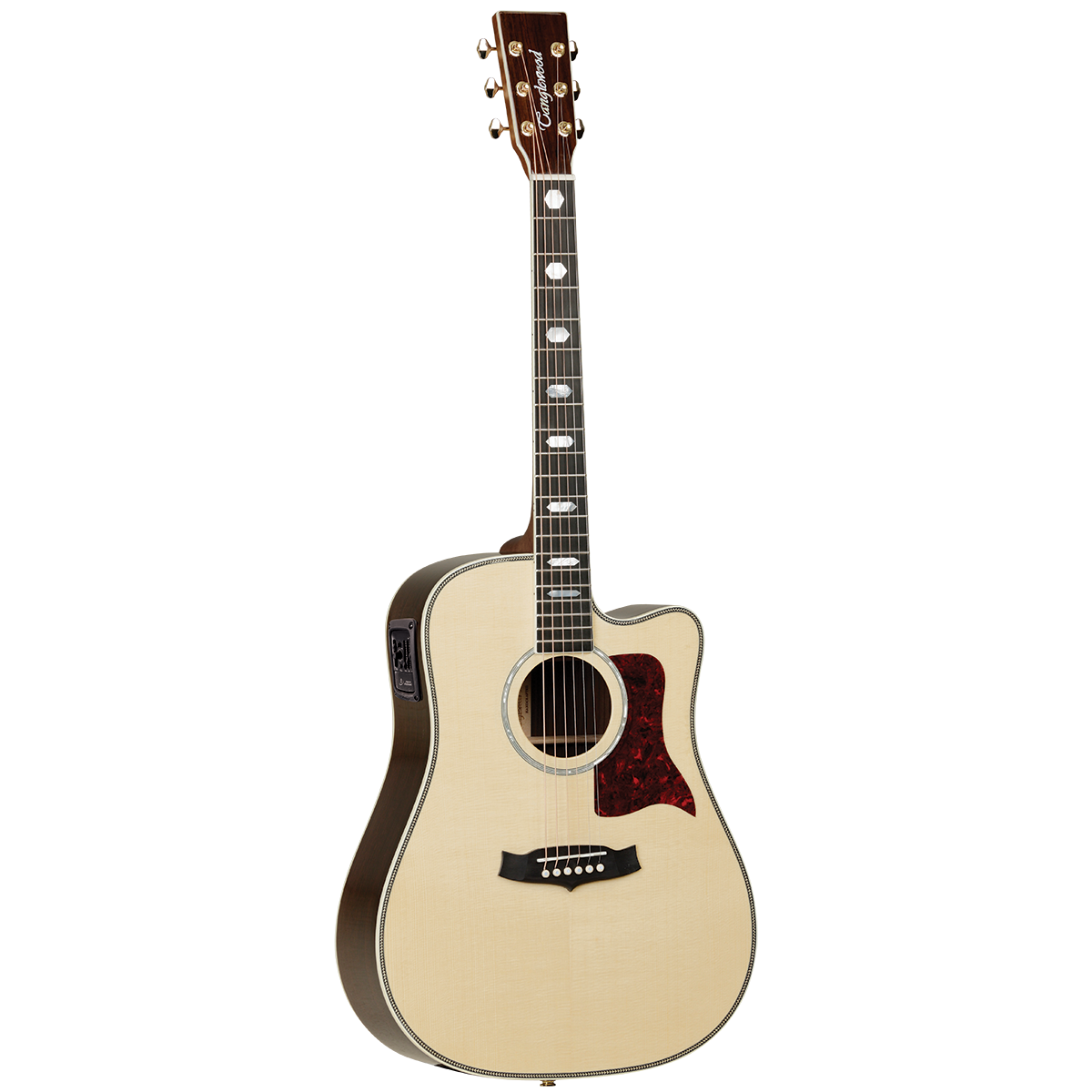 Tanglewood TW1000HSRCE Heritage Dreadnought C/E with ABS Case