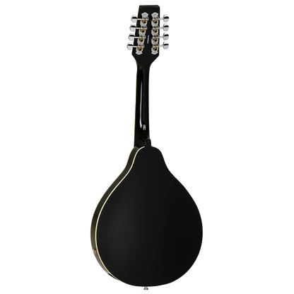 Union Series Mandolin Black With Pickup