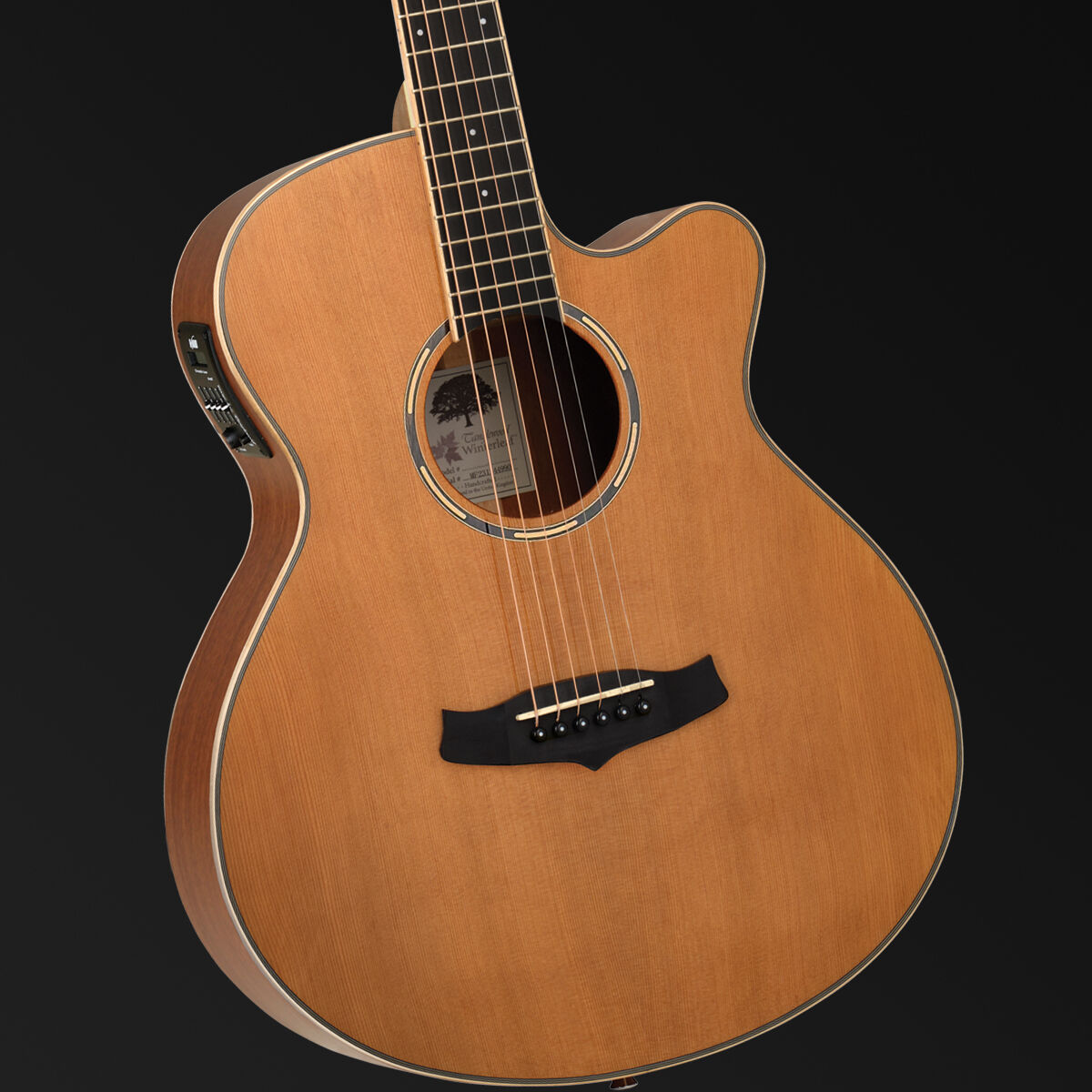 Tanglewood Winterleaf Pro Super Folk C/E Acoustic Satin Finish Guitar [TWPRO4-CE-NAS]