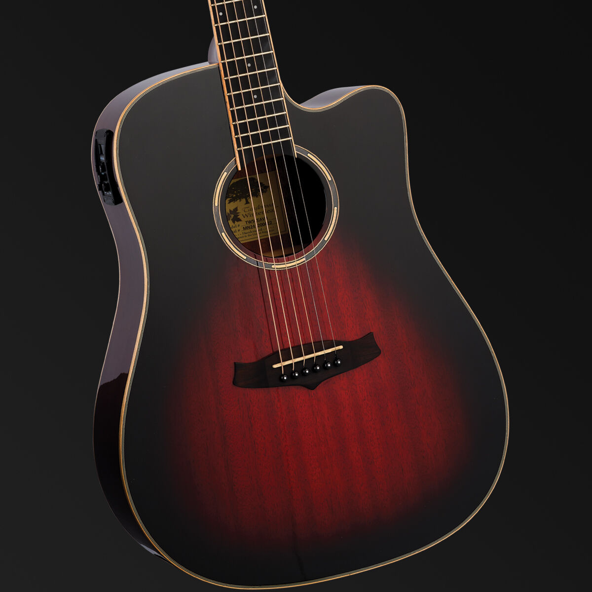 Tanglewood Winterleaf Pro Dreadnought C/E Antique Vintage Burst Gloss [TWPRO5-CE-AVB]