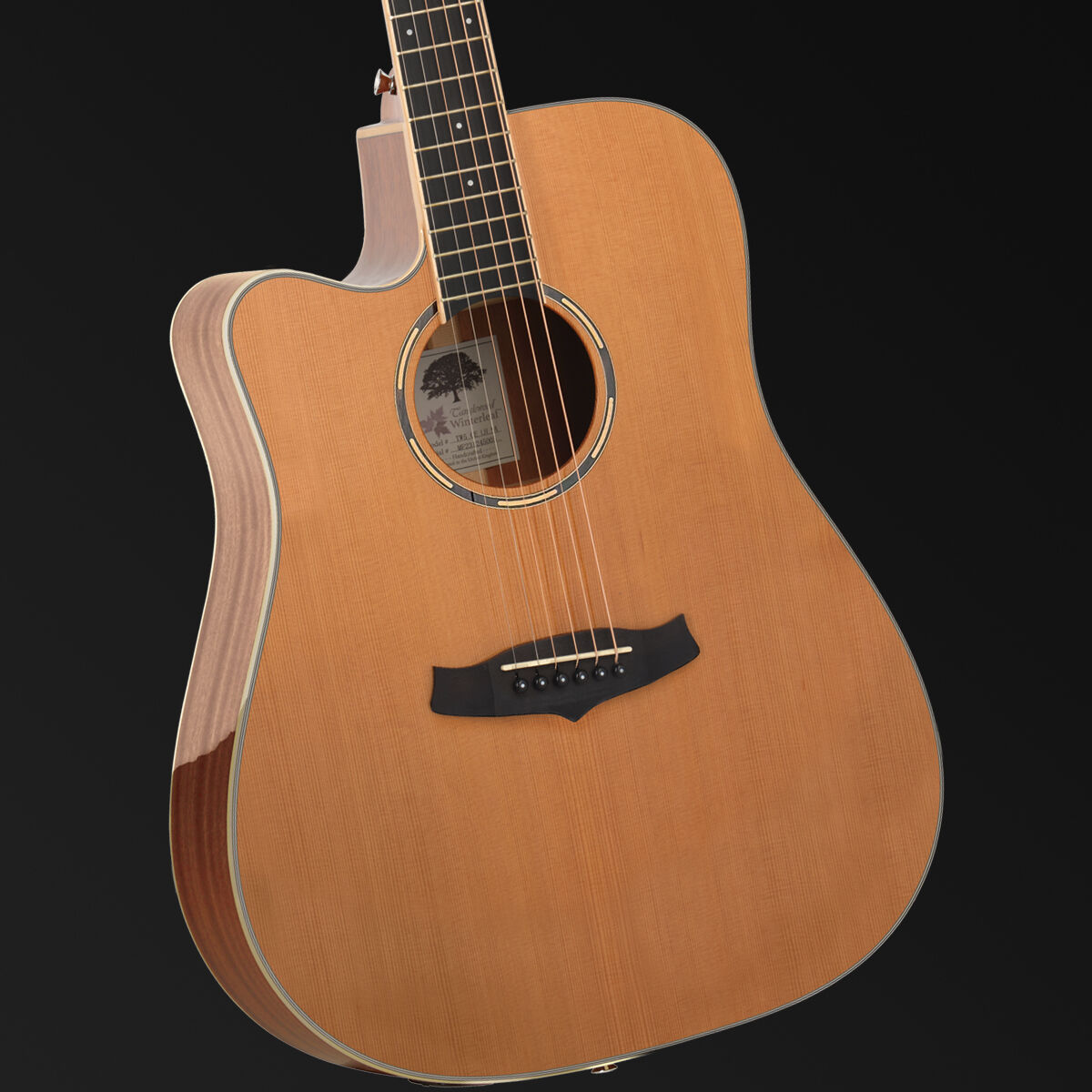 Tanglewood Winterleaf Pro Dreadnought C/E Acoustic Left Handed [TWPRO5-CE-NA-LH]