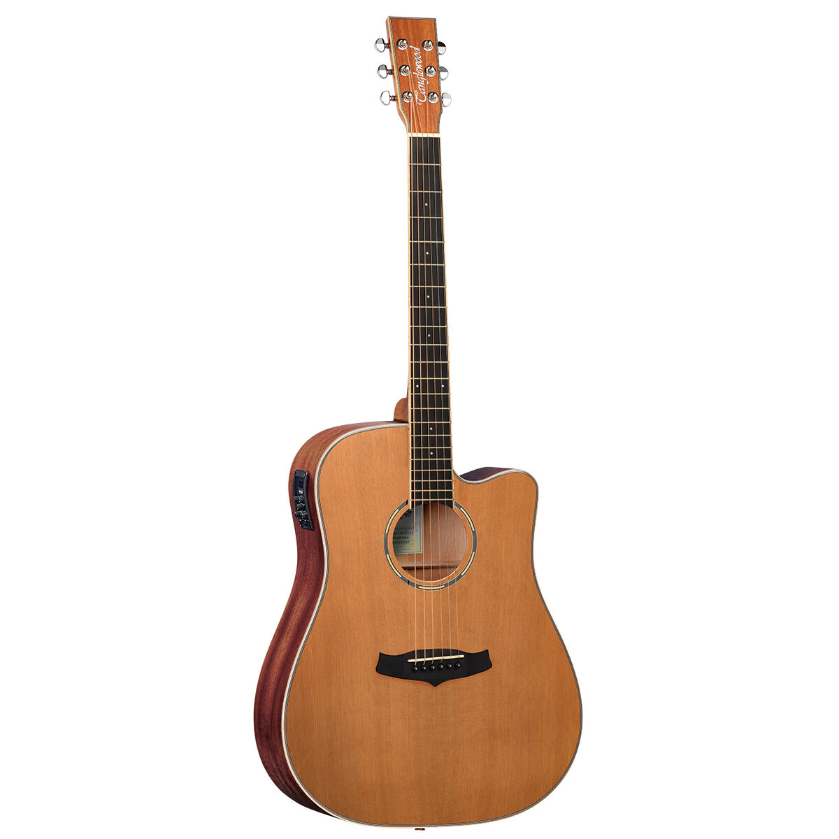 Tanglewood Winterleaf Pro Dreadnought C/E Acoustic Satin Finish Guitar [TWPRO5-CE-NAS]