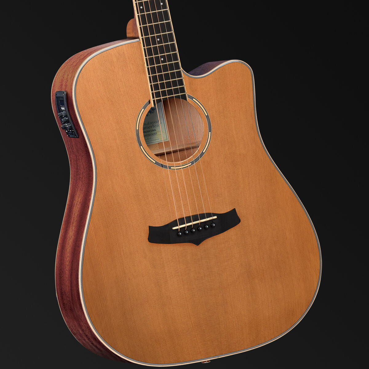 Tanglewood Winterleaf Pro Dreadnought C/E Acoustic Satin Finish Guitar [TWPRO5-CE-NAS]