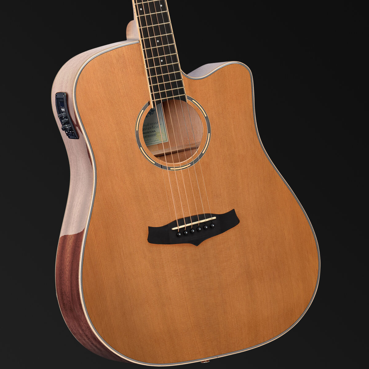 Tanglewood Winterleaf Pro Dreadnought C/E Acoustic Gloss Finish Guitar [TWPRO5-CE-NA]