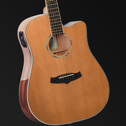 Tanglewood Winterleaf Pro Dreadnought C/E Acoustic Gloss Finish Guitar [TWPRO5-CE-NA]