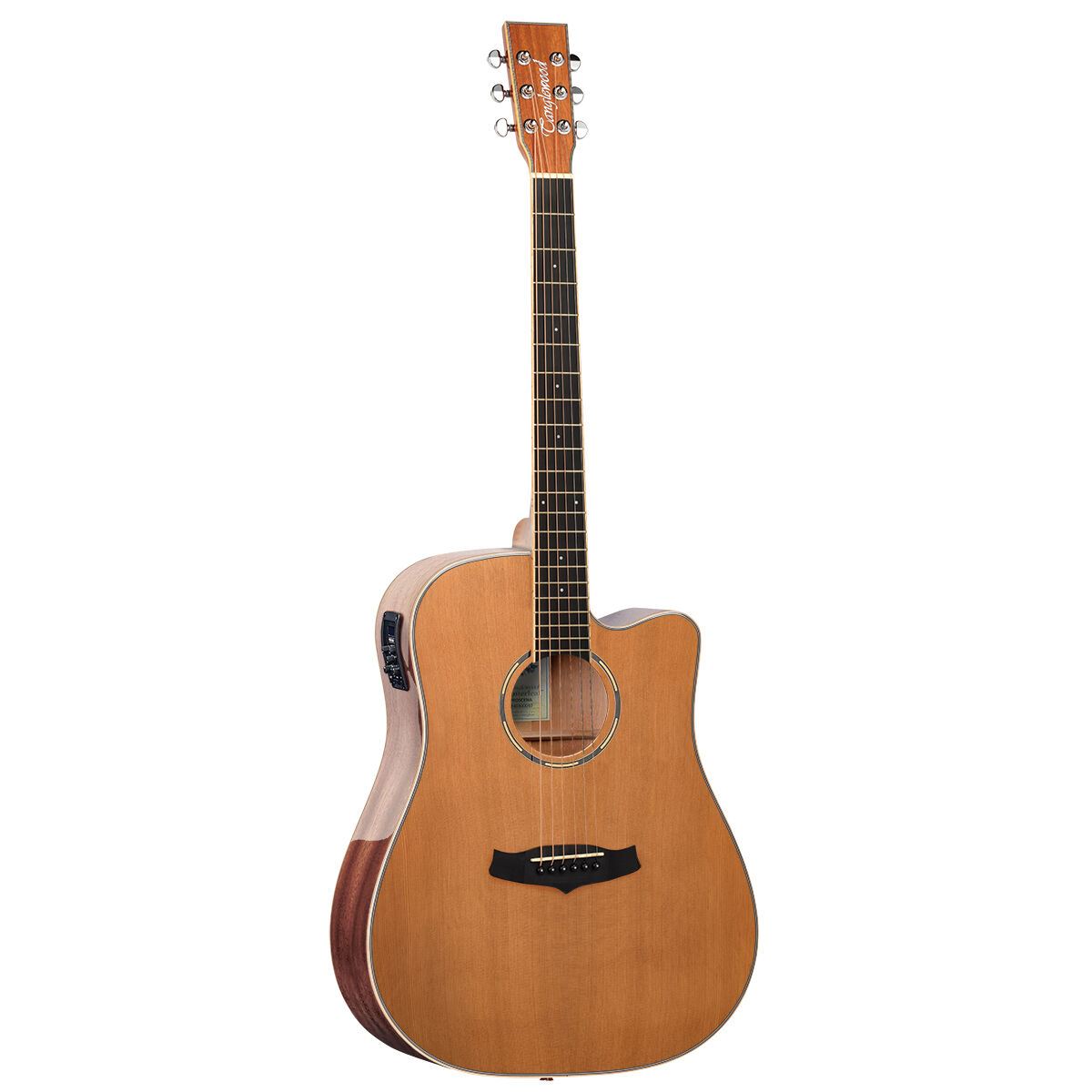 Tanglewood Winterleaf Pro Dreadnought C/E Acoustic Gloss Finish Guitar [TWPRO5-CE-NA]