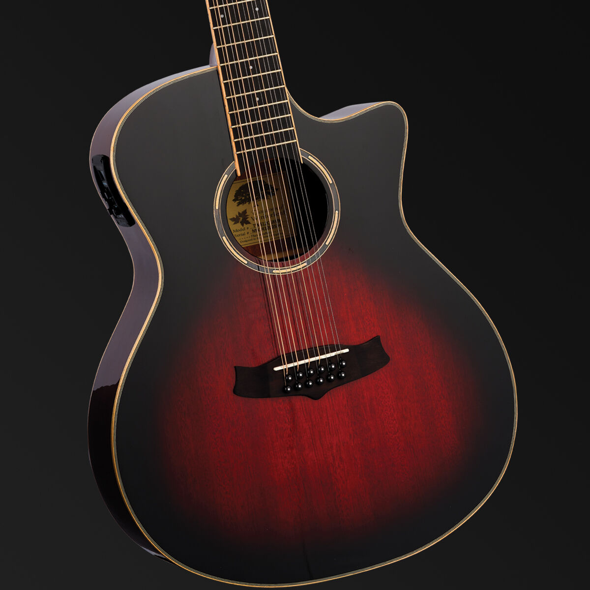 Tanglewood Winterleaf Pro Venetian C/E 12-String Vintage Burst [TWPRO612-CE-AVB]