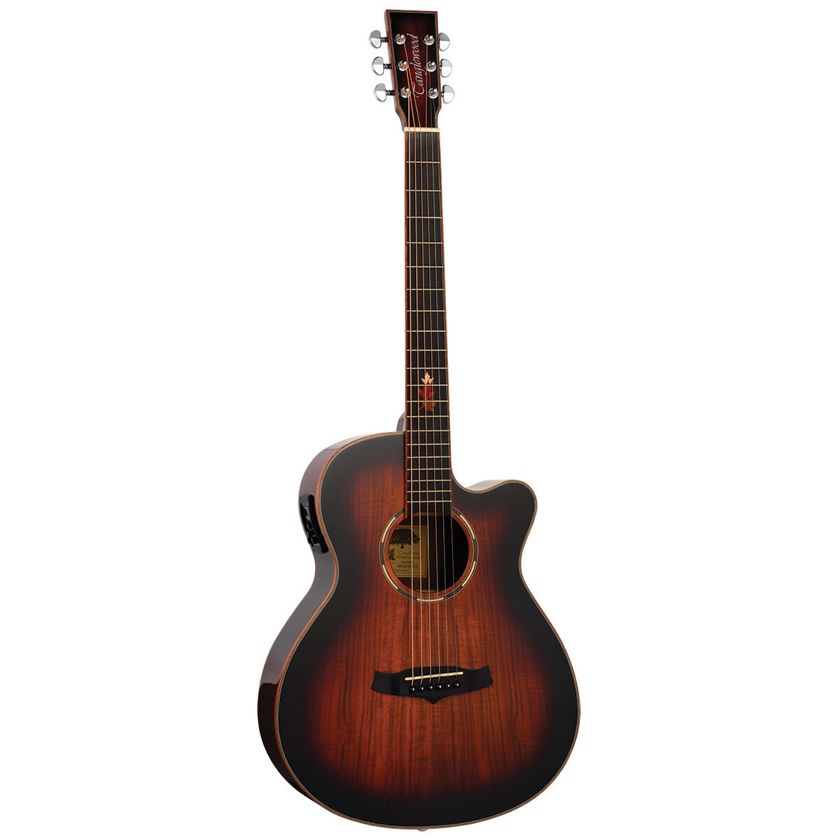 Tanglewood Winterleaf Pro Exotic Super Folk C/E Koa [TWX4-CE-K]