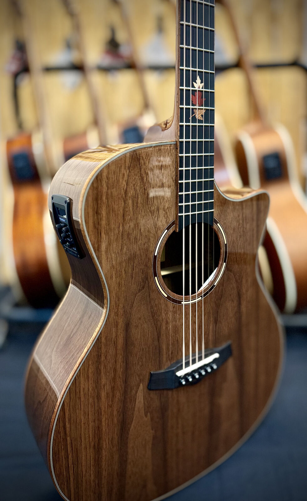 Tanglewood Winterleaf Exotic Superfolk Solid Top Venetian C/E Guitar all Black Walnut [TWX6-CE-BW]