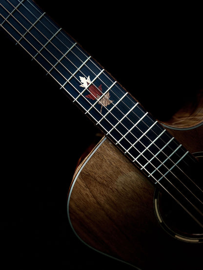 Tanglewood Winterleaf Exotic Superfolk Solid Top Venetian C/E Guitar all Black Walnut [TWX6-CE-BW]