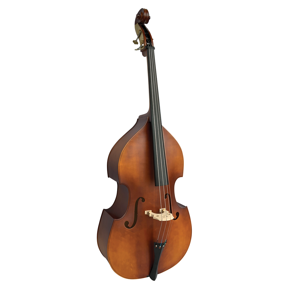 Vivo VIBSL1-34 Neo Plus 34 Double Bass | Solid Top