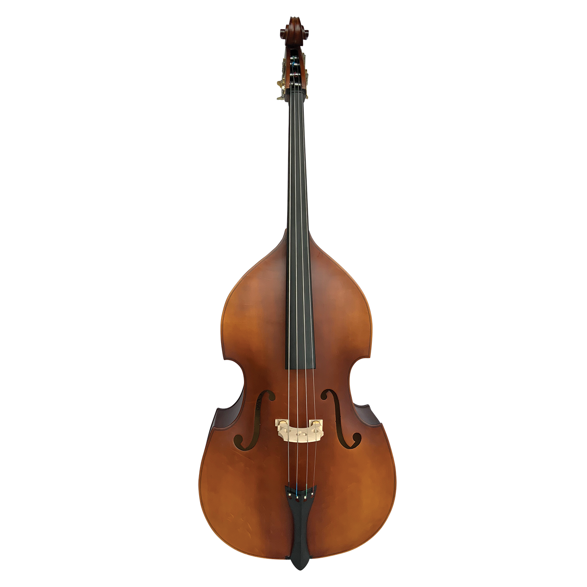 Vivo VIBSL1-34 Neo Plus 34 Double Bass | Solid Top