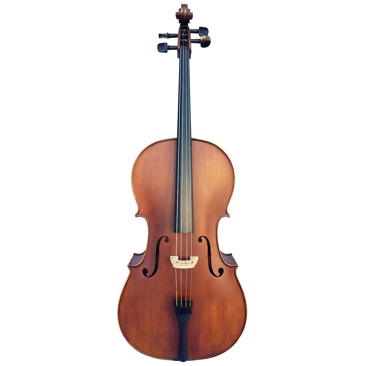 Vivo Elite Cello 4/4    Outfit