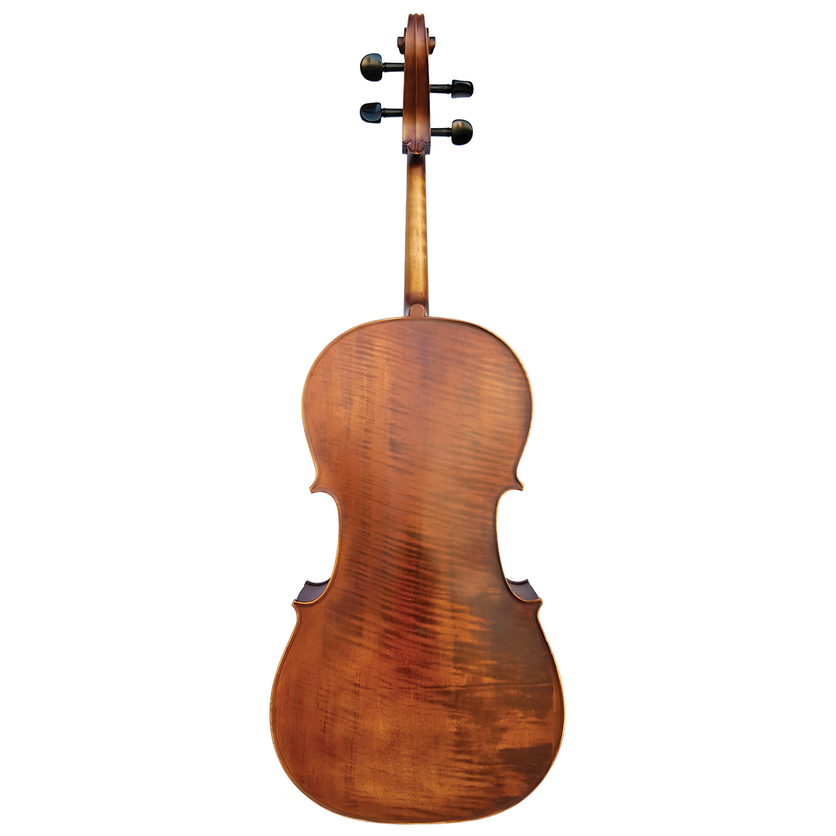 Vivo Elite Cello 4/4    Outfit