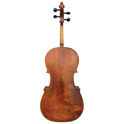 Vivo Elite Cello 4/4    Outfit