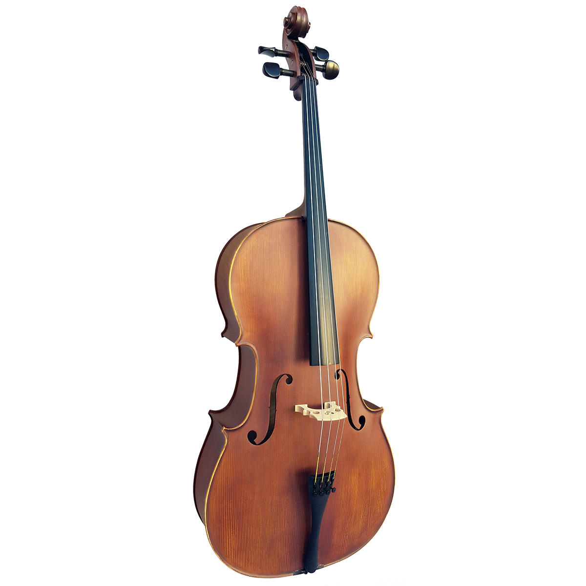Vivo Elite Cello 4/4    Outfit