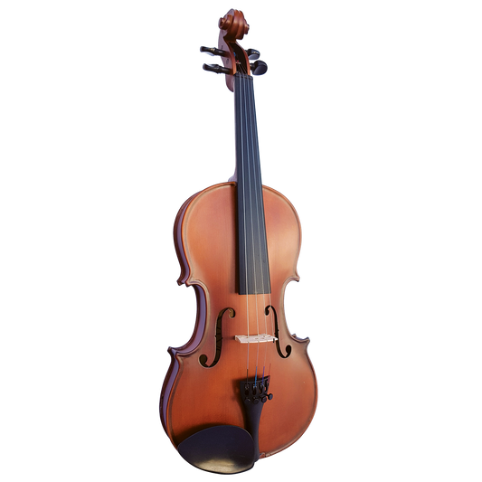 Vivo Neo Plus Student 4/4 Violin Outfit - Setup