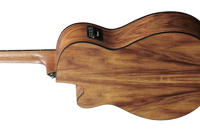 Ibanez VC40WSCE Acoustic Guitar | Open Pore Brown