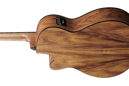 Ibanez VC40WSCE Acoustic Guitar | Open Pore Brown