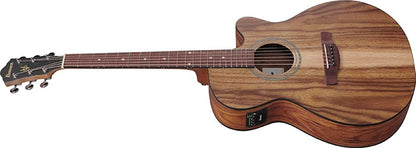 Ibanez VC40WSCE Acoustic Guitar | Open Pore Brown