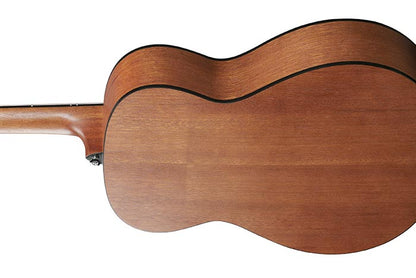 Ibanez VC44 Acoustic Guitar | Open Pore Natural
